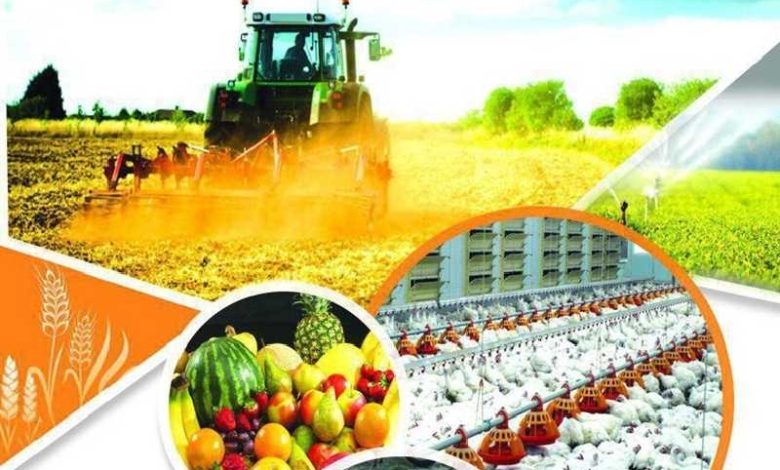 اخبار کشاورزی ایران