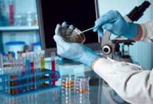 شرایط جذب پژوهشگر