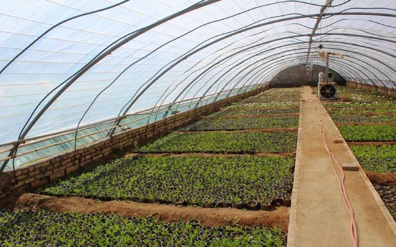 گلخانه های ارومیه