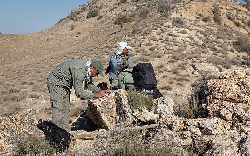 سرشماری پارک ملی دریاچه ارومیه